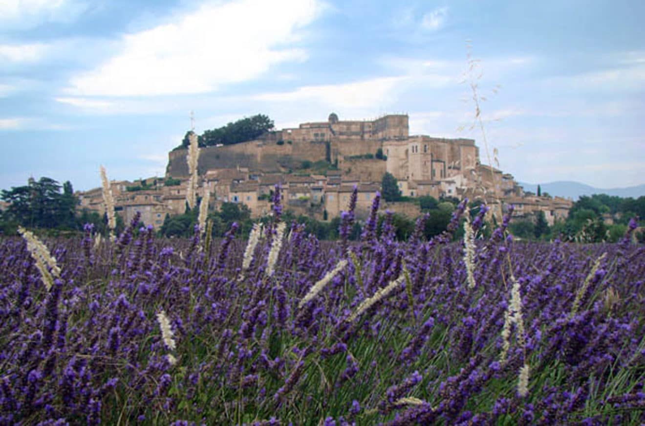 Que voir que faire à Grignan ? (en 2020)
