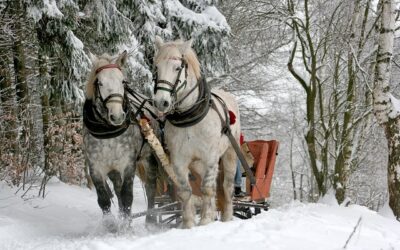 Neige proche Montélimar : stations de ski en Drôme