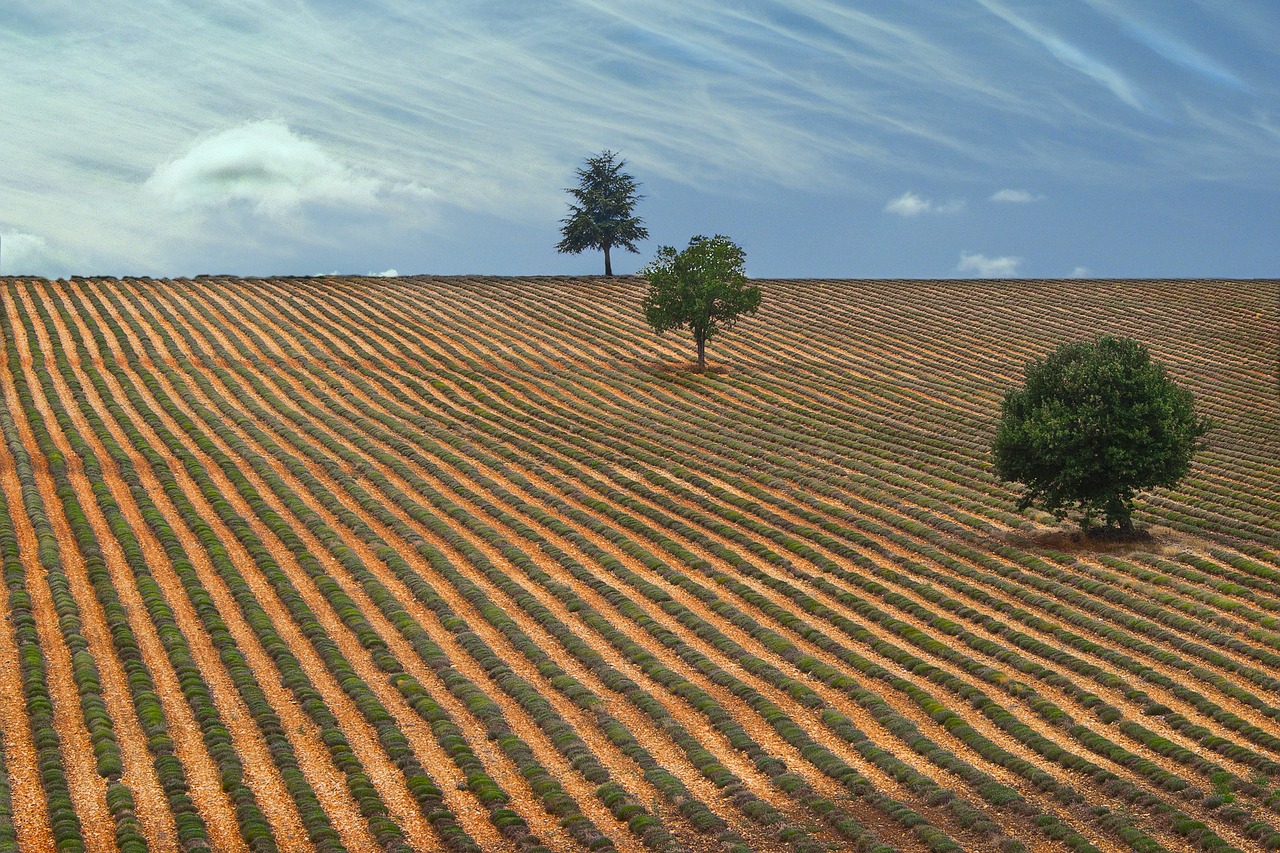Drôme provençale : une histoire, des visites, une richesse qui gagnent à être connue