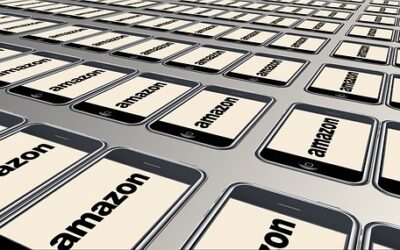 Amazon Montelimar : emploi, recrutement… un mastodonte utile pour la ville ?