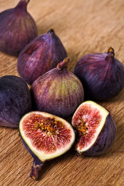 TOP 9 des marchés en Provence