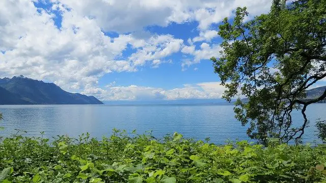 lac Léman