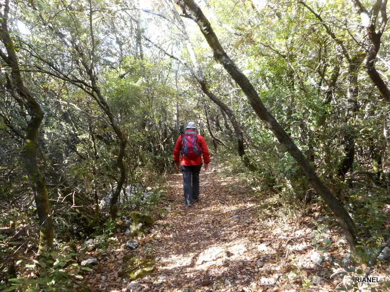 Le sentier du Maubois