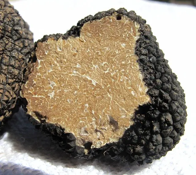 Truffe Montélimar