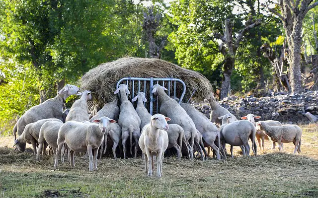 les agriculteurs à Montélimar et en Drôme provençale