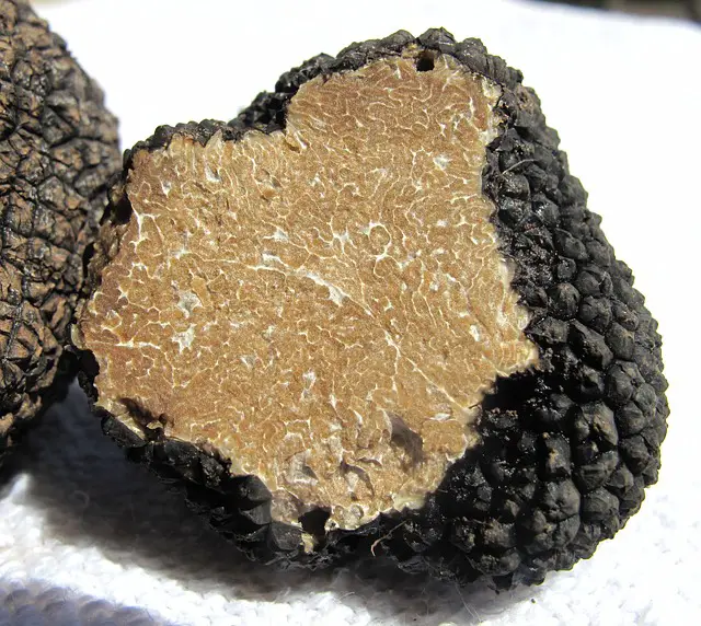 La Truffe Noire de la Drôme