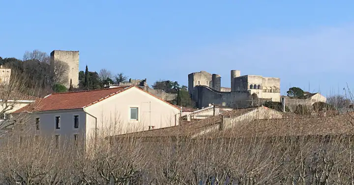 Stmartin1